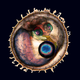 Image for article titled The year's strangest, most beautiful visions of the microverse